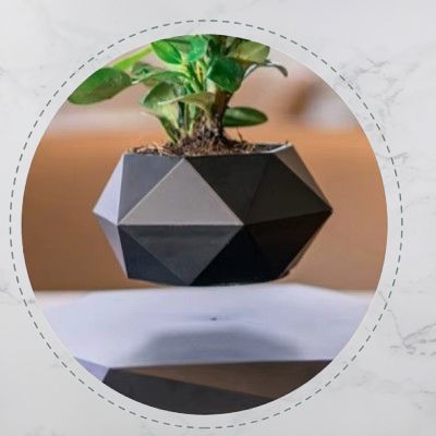 Pot de Fleurs Intérieur - LevitatingPot™ - Noir
