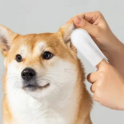 Toilettage Chien - DogCleaningFingerWipes™