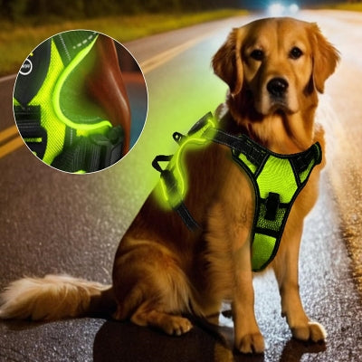 Harnais Chien - LEDDogHarnesses™ - Vert