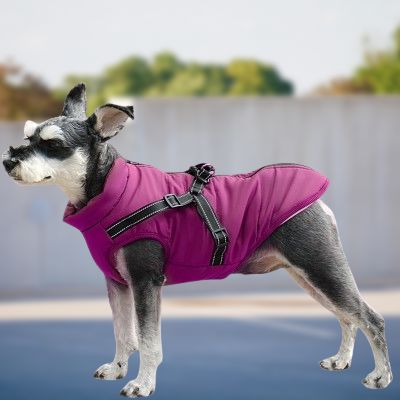 imperméables pour chiens - HarnessDogJacket™ - Pourpre