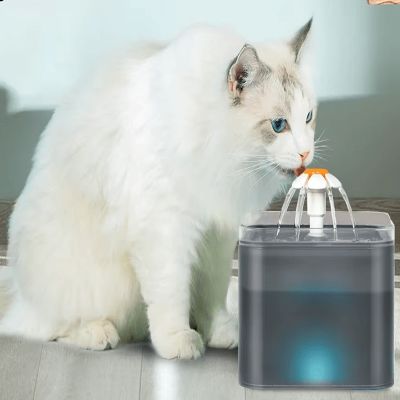 Fontaine à Eau pour Chat - SilentPetFountain™ - Gris