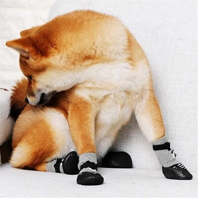 chausson pour chien - DogWarmSock™ - Gris