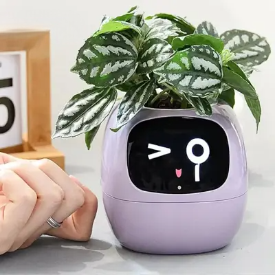 Pot de fleurs - SmartPlanter™ - Mauve