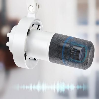 Microphone usb - DynamicMicrophone™ - Blanc