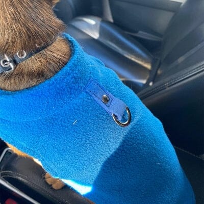 pull pour chien - DogWinterPullover™ - Bleu