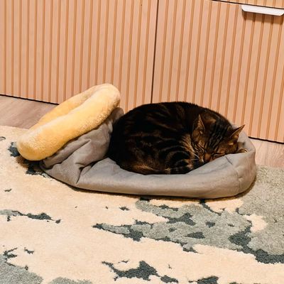 Niche Chat - NapNest™ - Gris