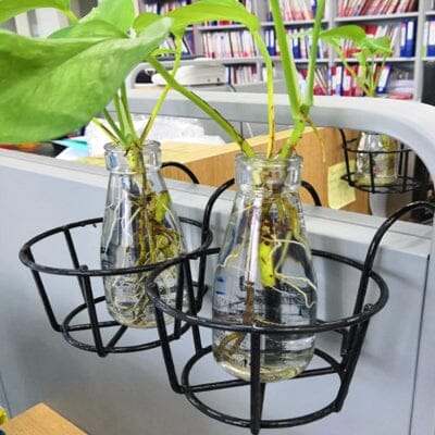 Support pour plantes - HangingPlantRacks™ - Noir