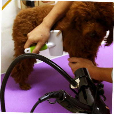 SUPPORT SECHE CHEVEUX - PetHoldMaster™