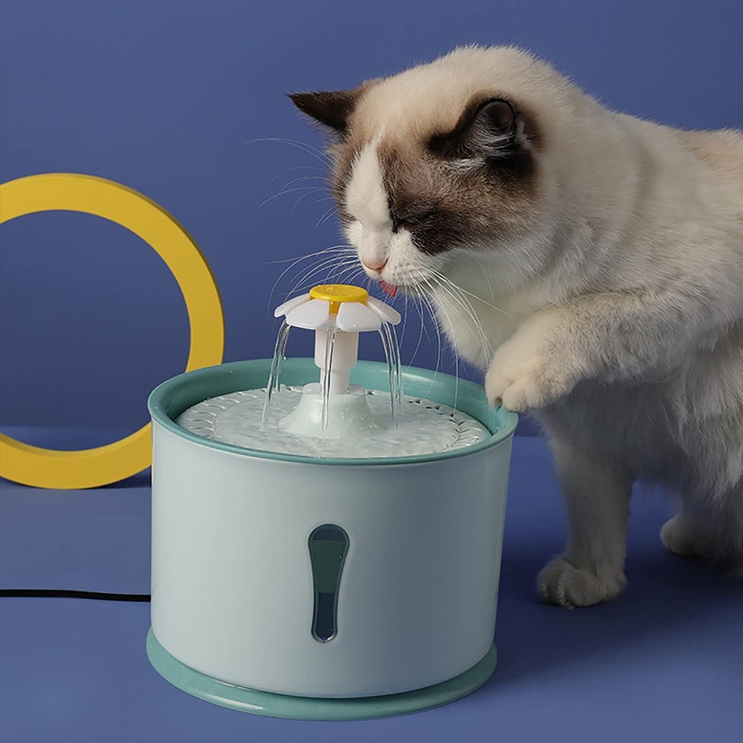 Fontaine à Eau pour Chat - CatLEDFountain™ - Vert
