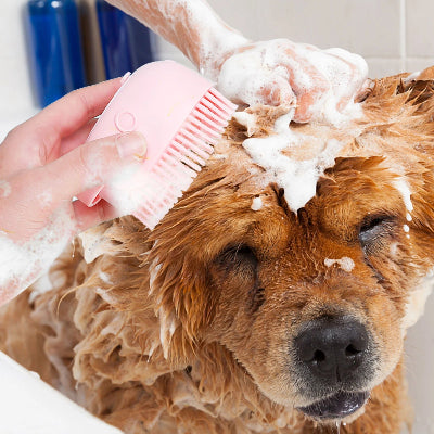 Brosse pour Chien - PawRelaxShower™