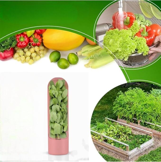 VeggieCrisp™ - Rose