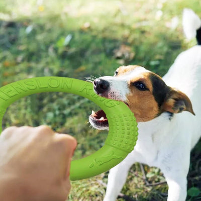 FRISBEE CHIEN - FetchBite™ - Vert