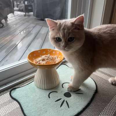 Gamelle pour Chat - CatShroom™ - Jaune