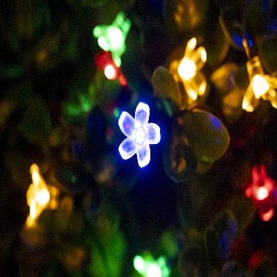 Guirlande Lumineuse - SolarBloom™ - Multicolore