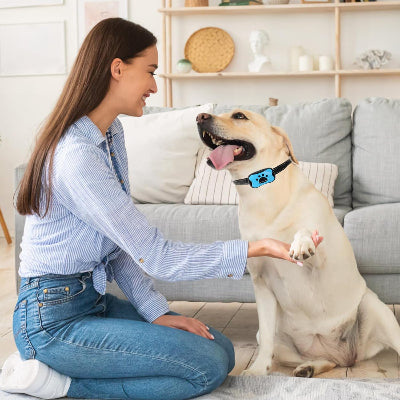 Collier Chien - BarkControl™ - Bleu