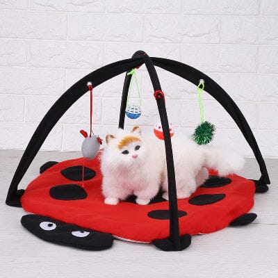 Tente Chat - CatTent™ - Coccinelle