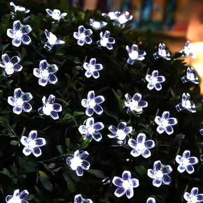 Guirlande Lumineuse - SolarBloom™ - Blanc