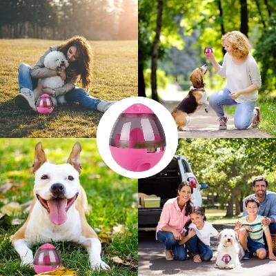 Distributeur de Croquettes pour Chien - FeedMaze™ - Rose