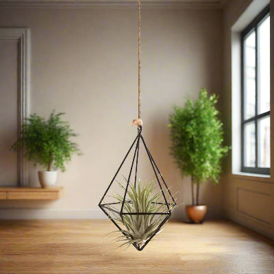 Porte Plante - AirBloom™ - Diamond Noir