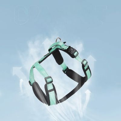 Harnais - SafePup™ - Vert