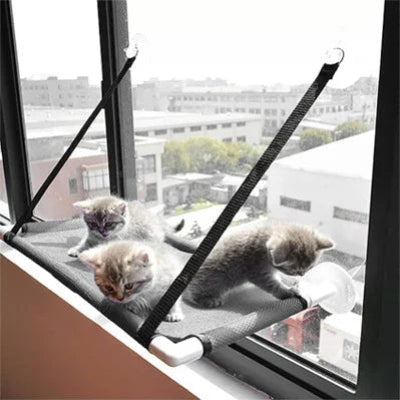 Hamac Chat - SunLoft™ - Gris