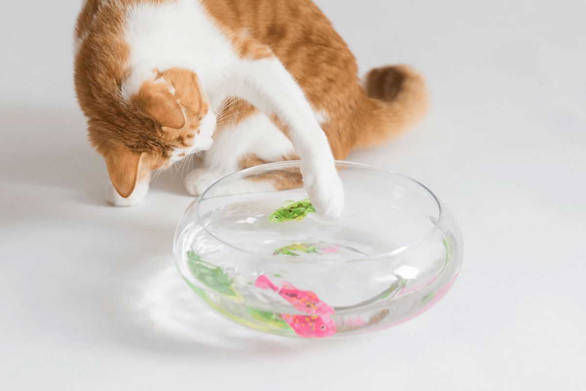 Jouet Interactif Chat - CatchyFish™ - Rose Bonbon