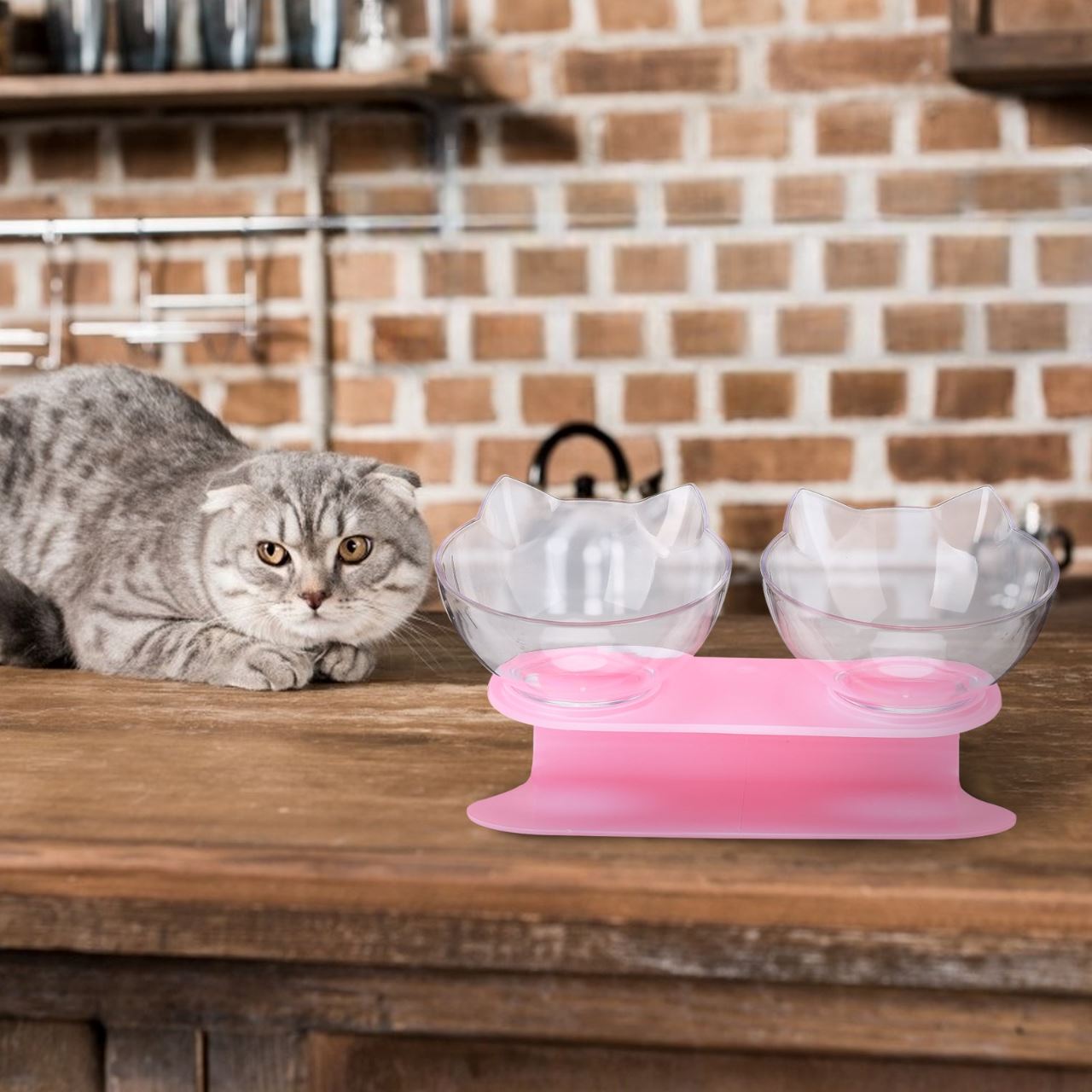 Gamelle Chat - CatDoubleBowl™ - Rose