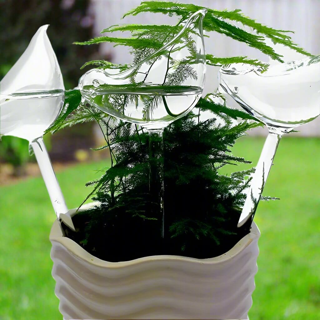 PlantWateringBulbs™ - Blanc