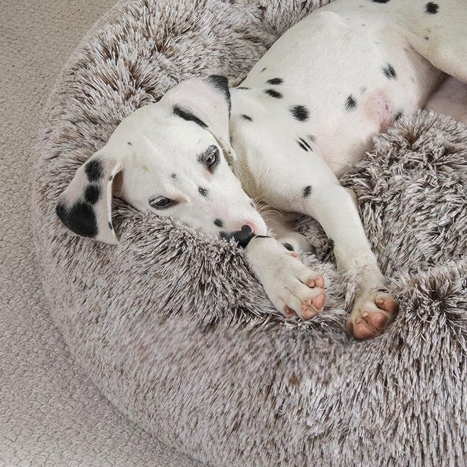 Lit pour Chien - FluffyDogBed™ - Café Dégradé