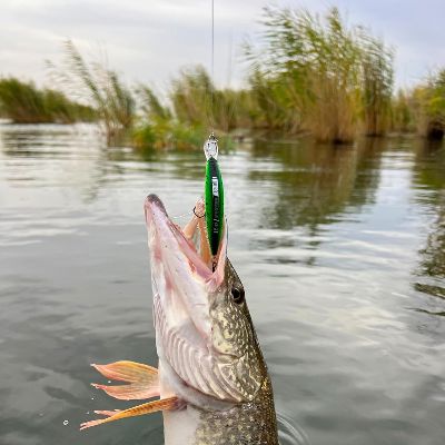 Leurre de peche - FishingLureBait™ - Vert Dégradé