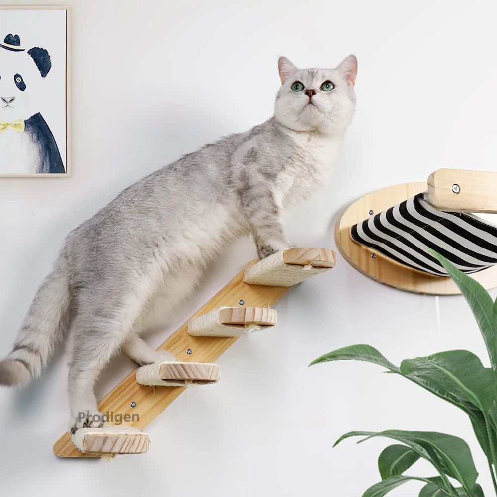 ClimbCat™- Escalier