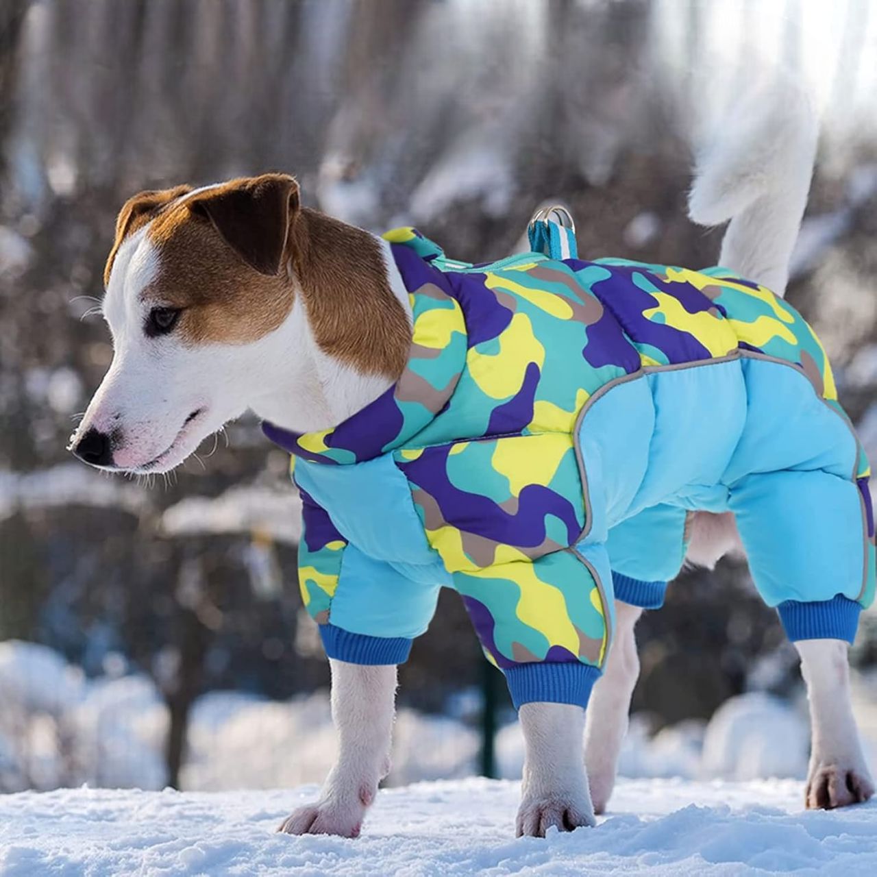 Doudoune pour Chien - WarmJacketDog™ - Camouflage Cyan
