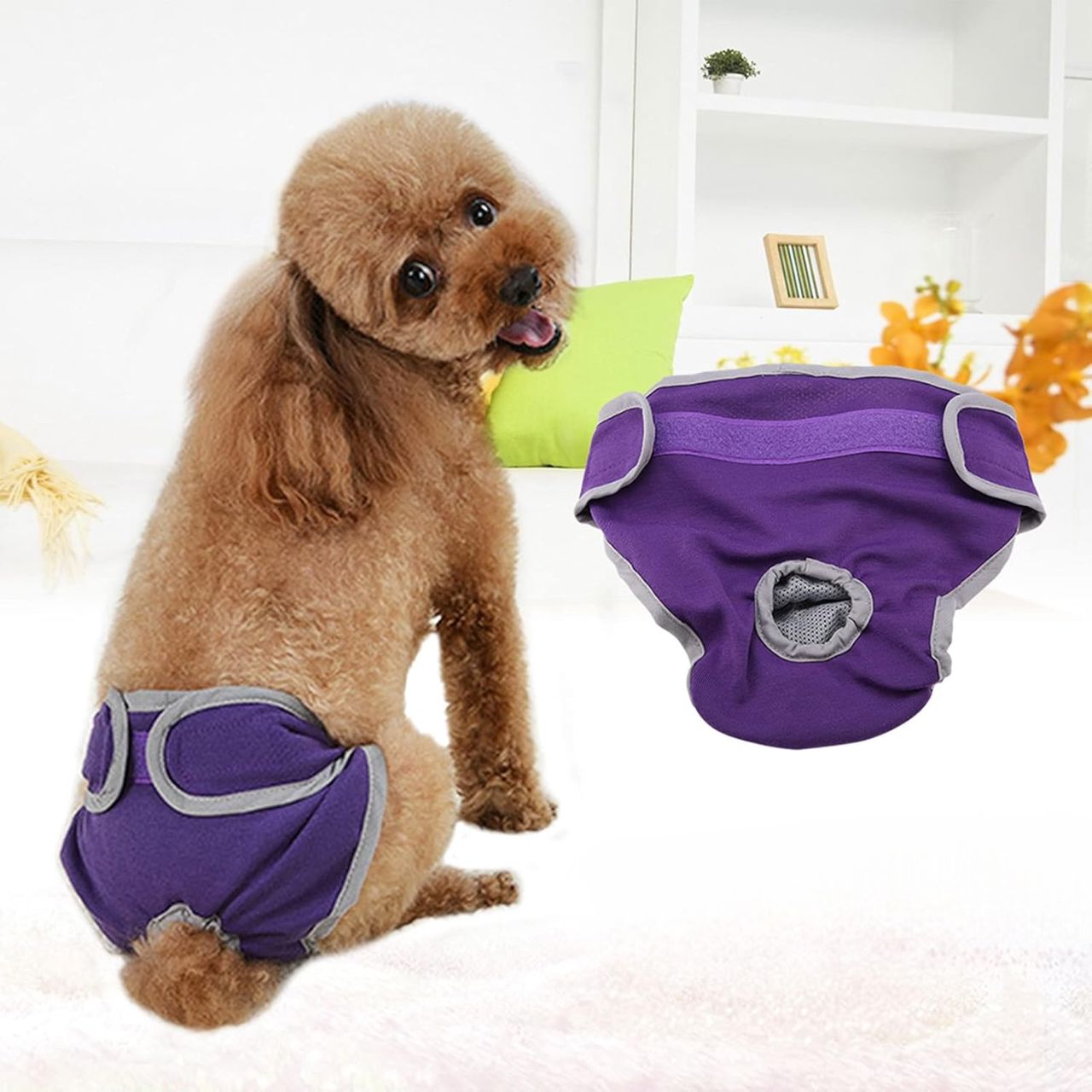 Couche pour chien - FemaleDogShorts™ - Violet