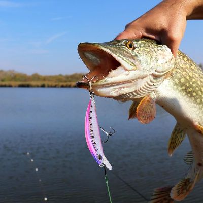 Leurre de peche - FishingLureBait™ - Rose
