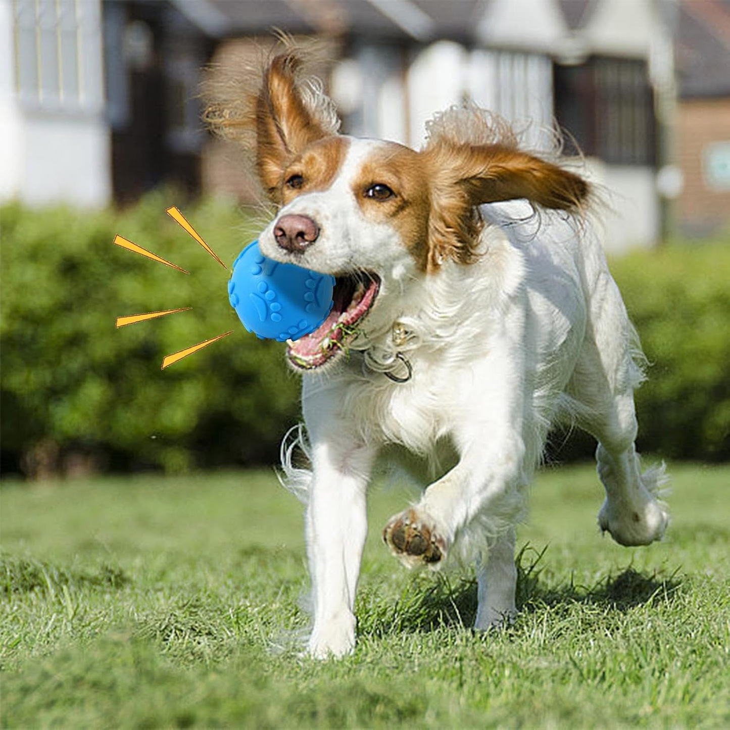 Balle pour Chien - DogChewToys™ - Bleu