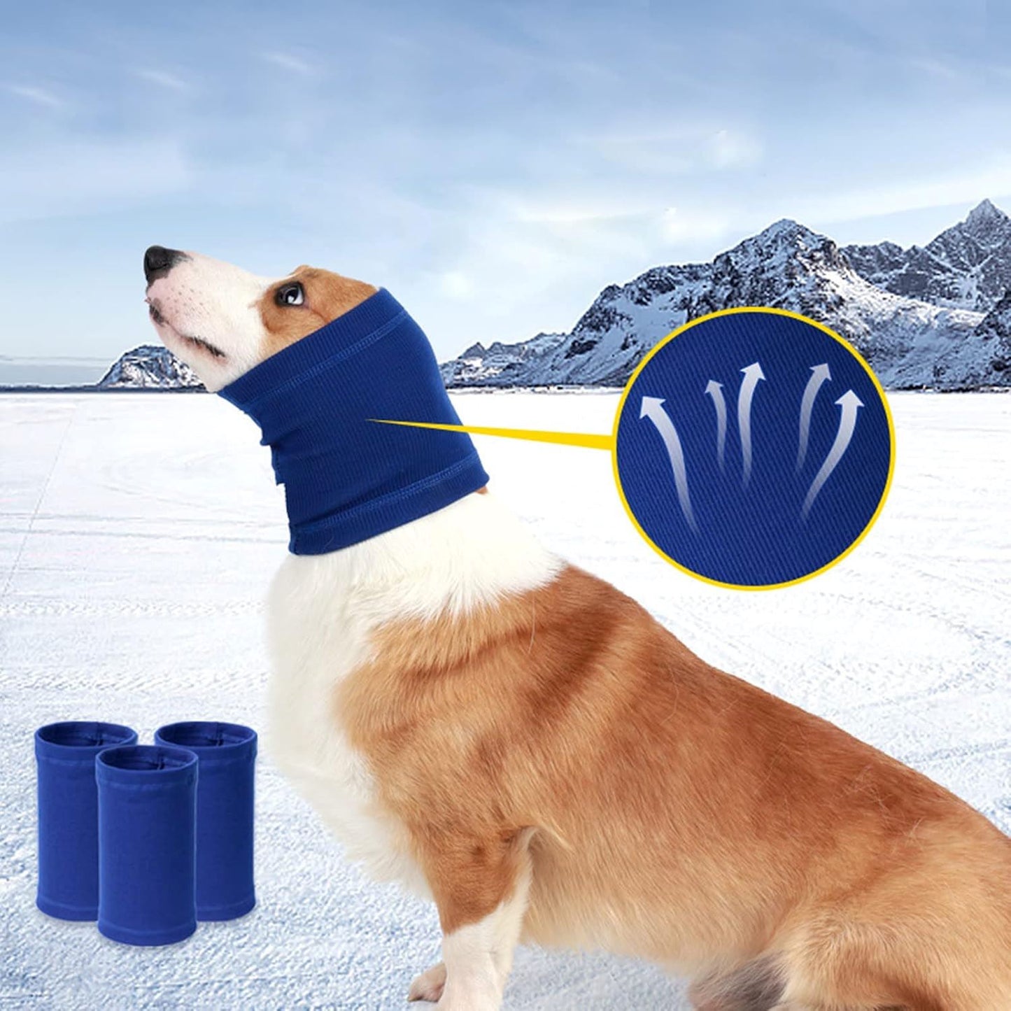 Cache Oreille - DogSoftEarmuffs™ - Bleu royale
