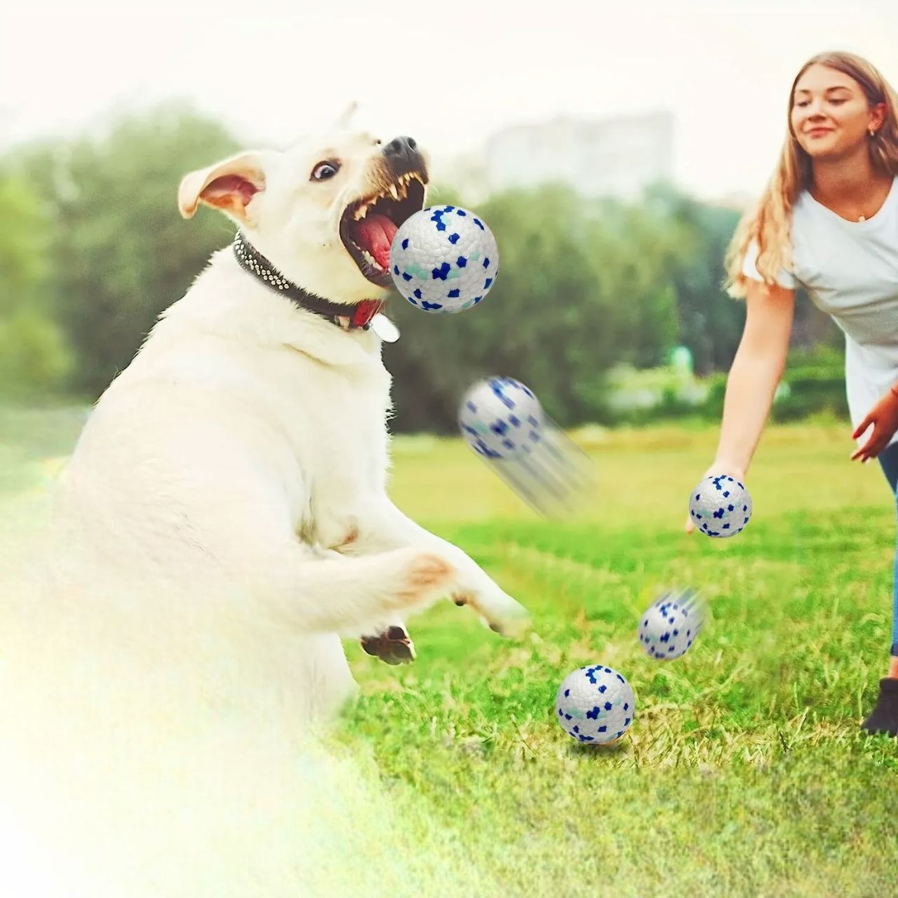 Balle pour Chien - PetGrindingTeethToy™ - Bleu&Vert