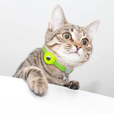Collier Airtag Chat - CatAirTagCollar™ - Vert Menthe