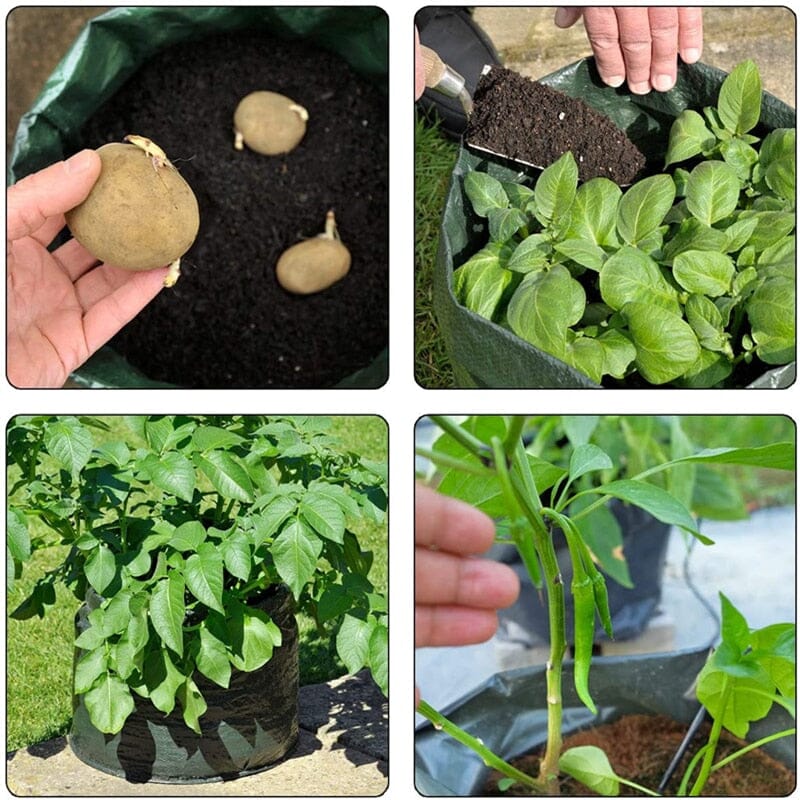 OrganiBag™ - Organic grow bags