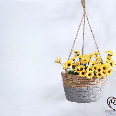 Pot de Fleur Suspendu - PlantBasket™ - Jaune/Gris