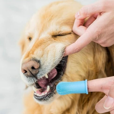 Brosse Pour Chien - DogSoftFingerToothbrush™