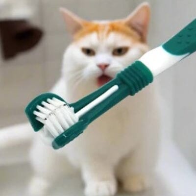 SidedPetToothbrush™ - Vert foncé