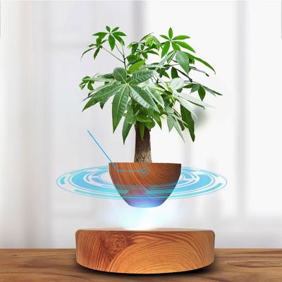 Pot de Fleurs Intérieur - LevitatingPot™ - Bois