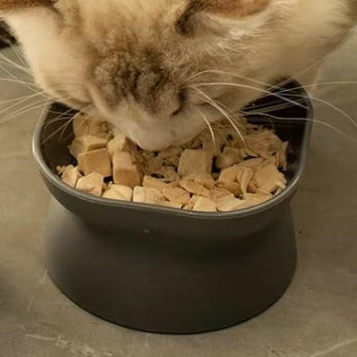 Gamelle Chat - NewCatFoodBowl™ - Gris