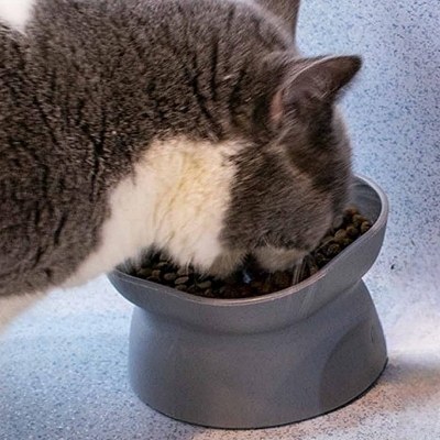 Gamelle Chat - NewCatFoodBowl™ - Gris