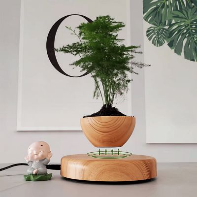 Pot de Fleurs Intérieur - LevitatingPot™ - Bois