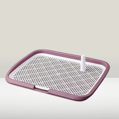 Toilette Pour Chien - DogPottyToilet™