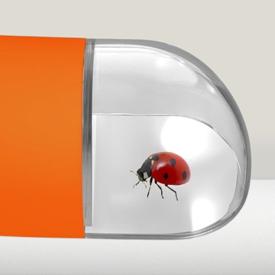 Attrape insecte - NewInsectCatcher™ - Orange