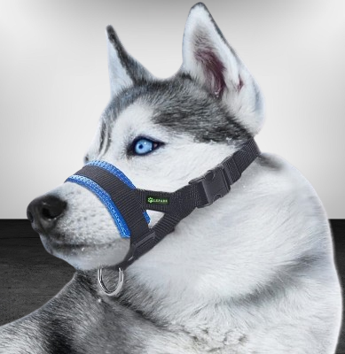 Muselière Chien - AntiBarkDogMouthMuzzle™ - Bleu