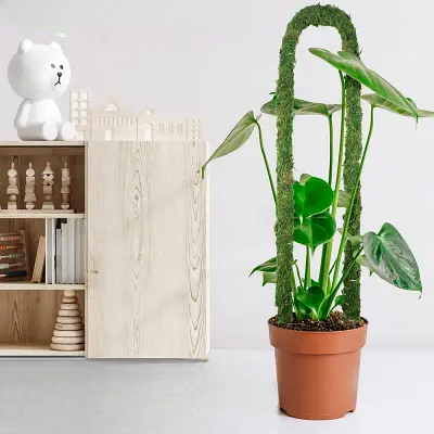 Support Plante - FoamPlantSupport™